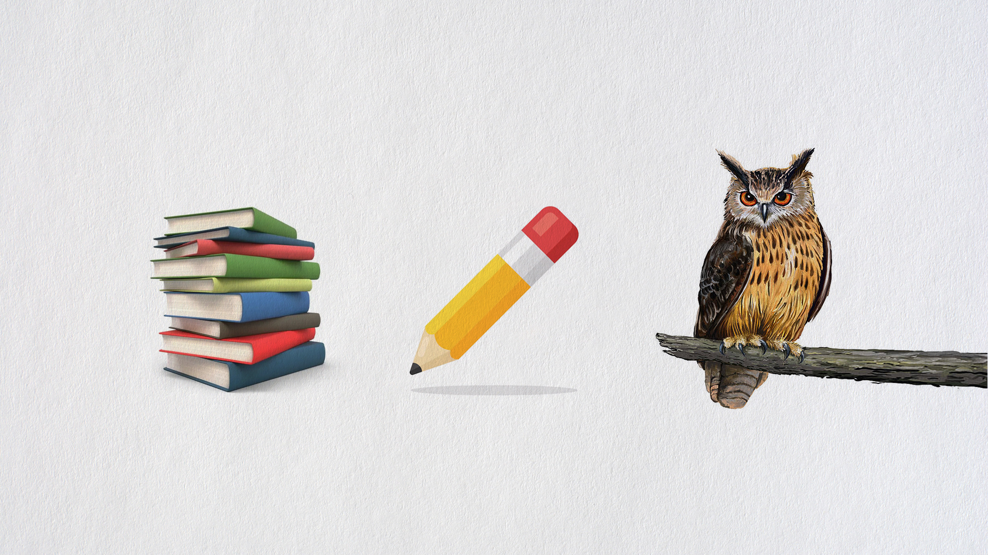 Books, pencil and owl explored for the Zanina Vassi identity